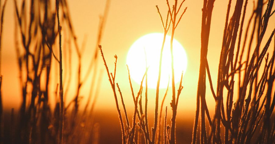 Soleil couchant - canicule